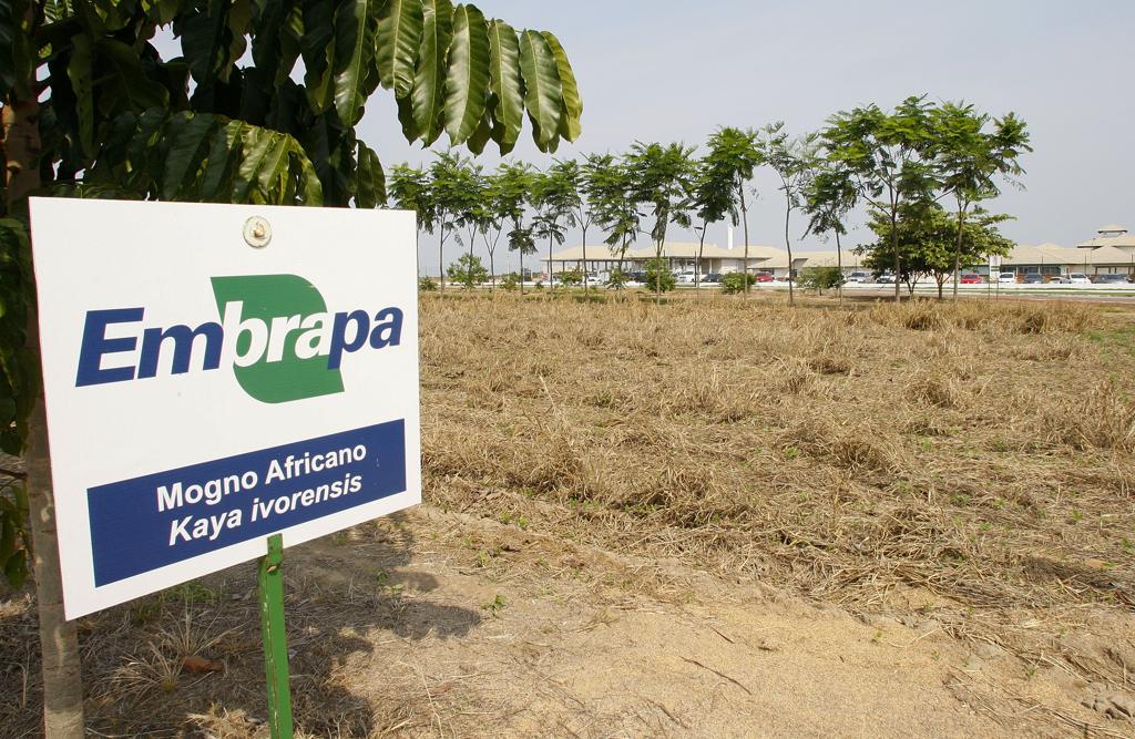 O novo presidente da Embrapa será anunciado até 15 de outubro | HUGO HARADA/Gazeta do Povo