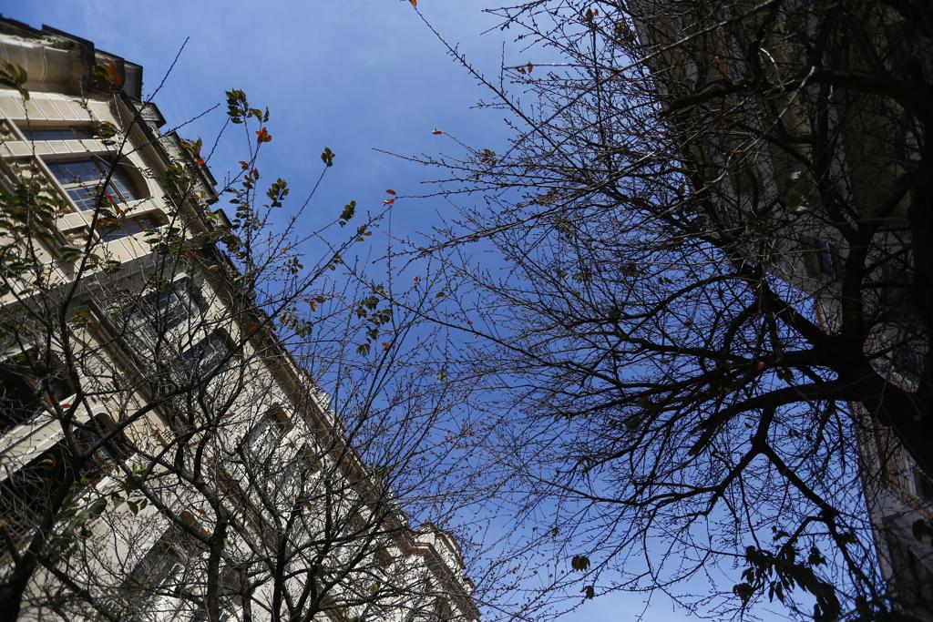 Apesar do frio da manhã, tempo deve ser estável nesta terça | Henry Milleo/Gazeta