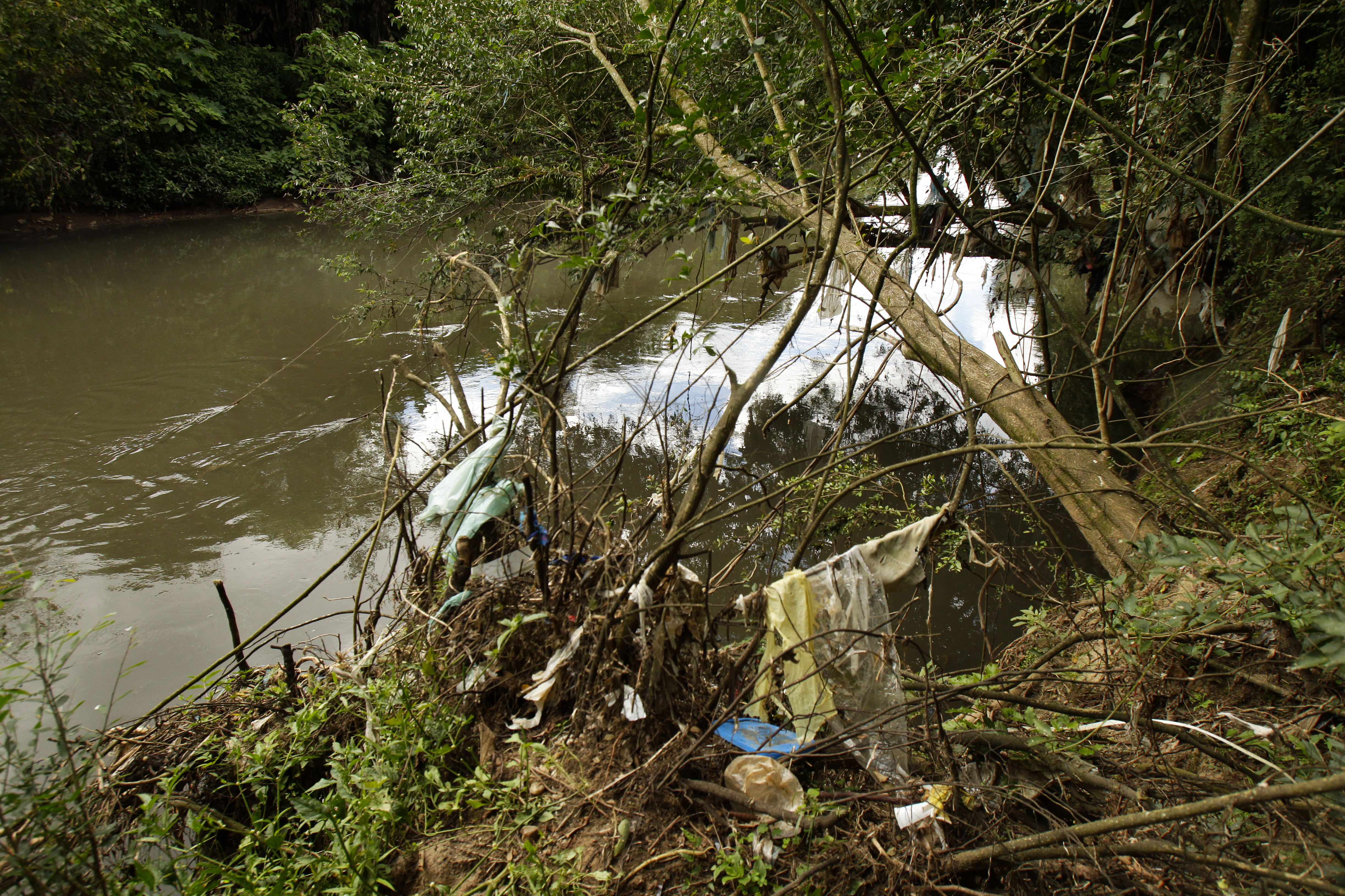  | Daniel Castellano/Gazeta do Povo