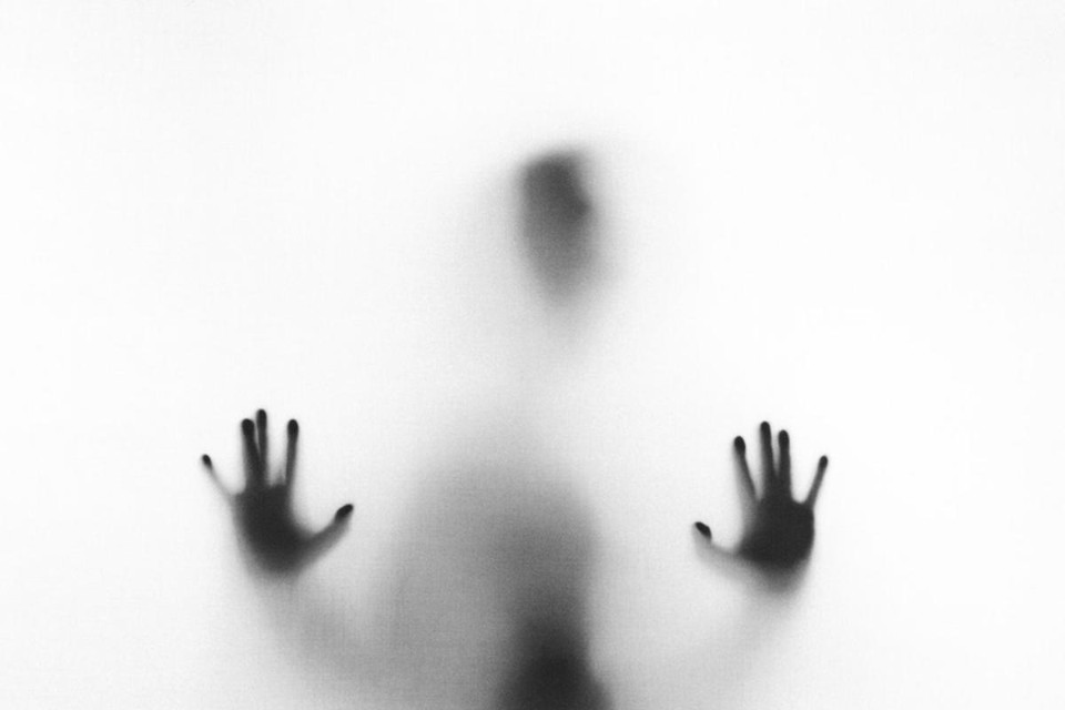 Imagem ilustrativa. | Stefano Pollio/Reprodução/Unsplash