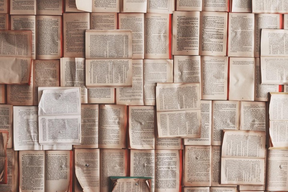 Briga entre escritores mostra que literatura brasileira precisa de melhores ideais |