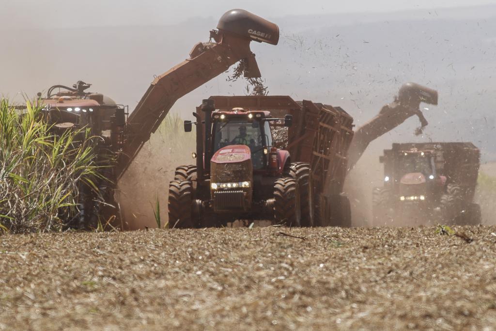  | Jonathan Campos/Gazeta do Povo