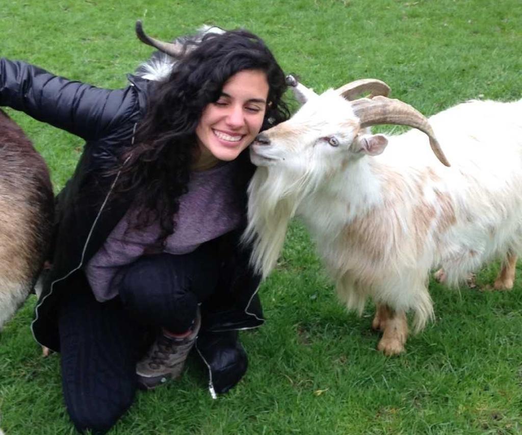 A pesquisadora Natalia Albuquerque diz que as cabras são sensíveis às expressões humanas e possuem habilidades psicológicas complexas | Alan McElligott/Divulgação