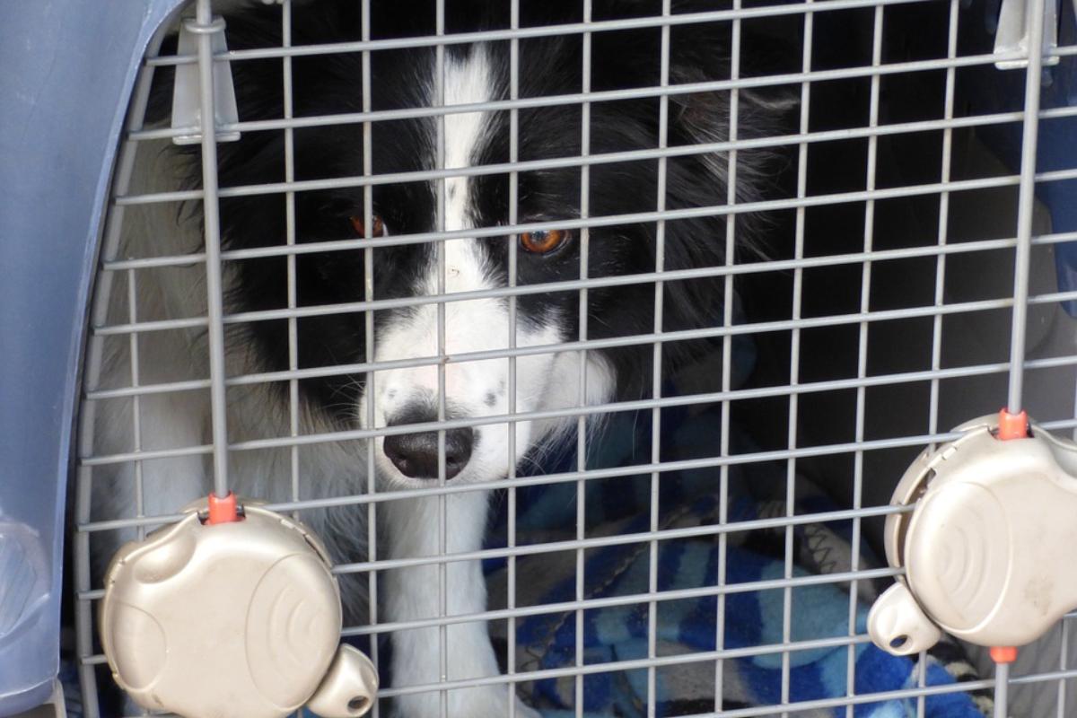 Imagem ilustrativa | Reprodução/
Pixabay