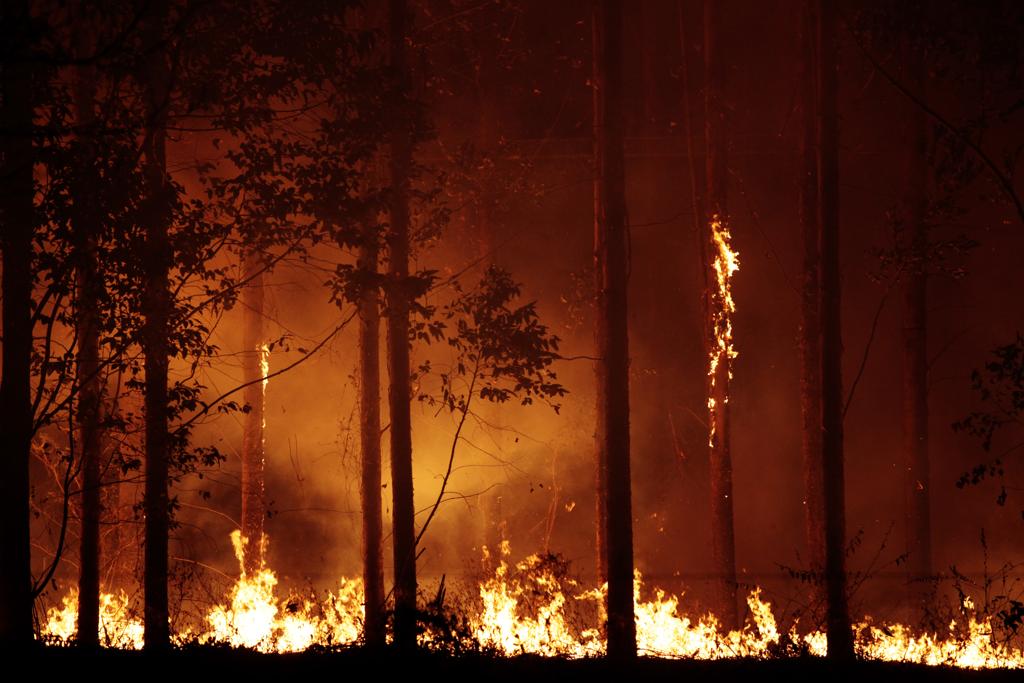  | Daniel Caron/Gazeta do Povo