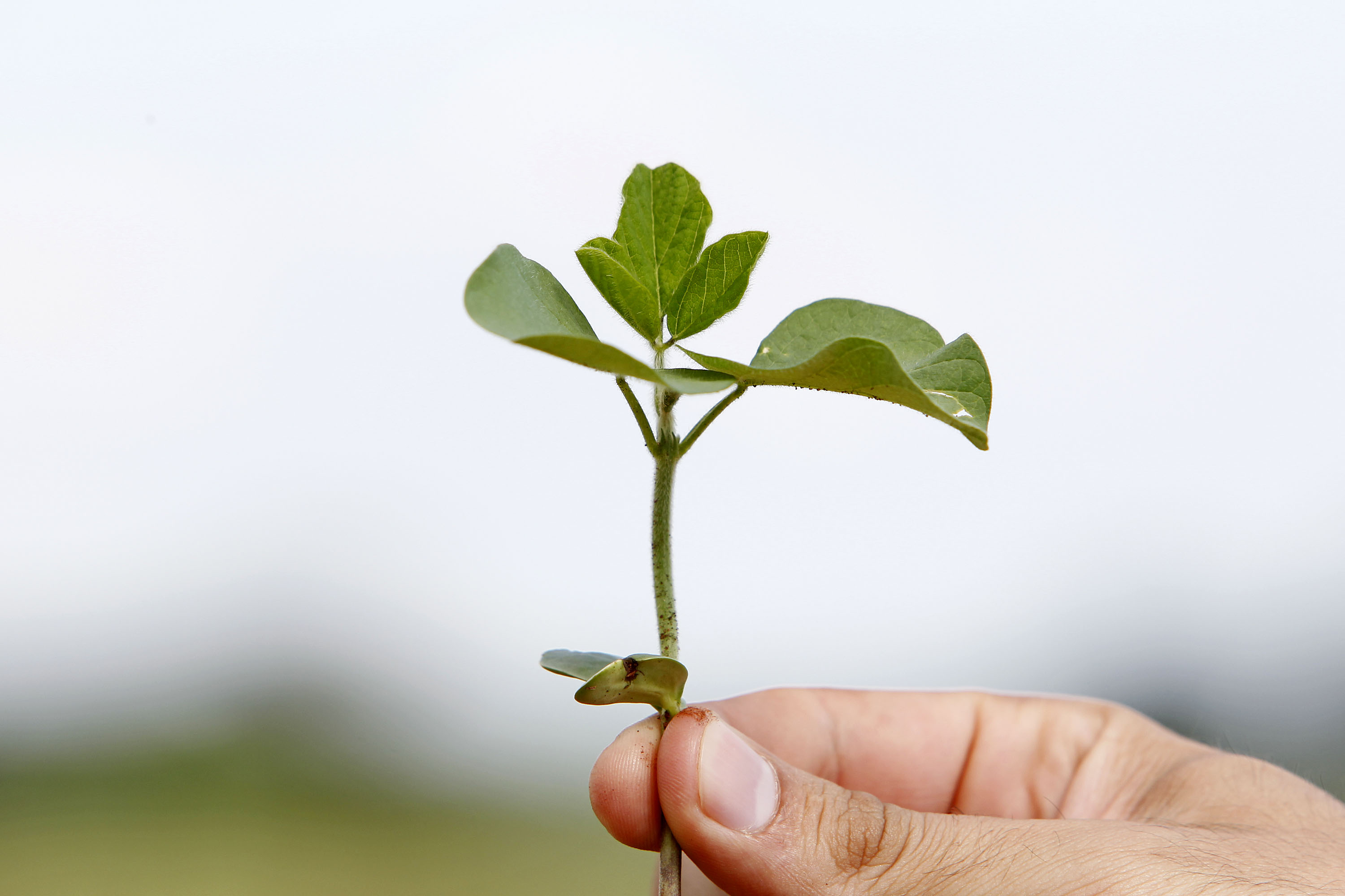  | Arquivo / Gazeta do Povo
