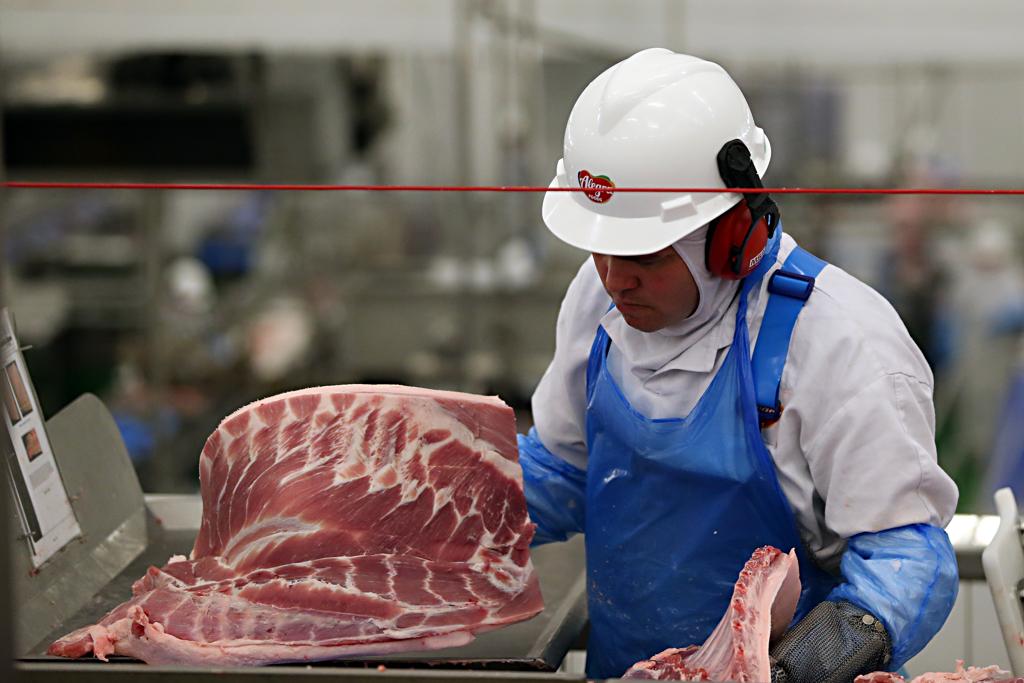 O número de suínos abatidos chegou a 10,82 milhões de animais - aumento de 1,9%. | Albari Rosa/Gazeta do Povo