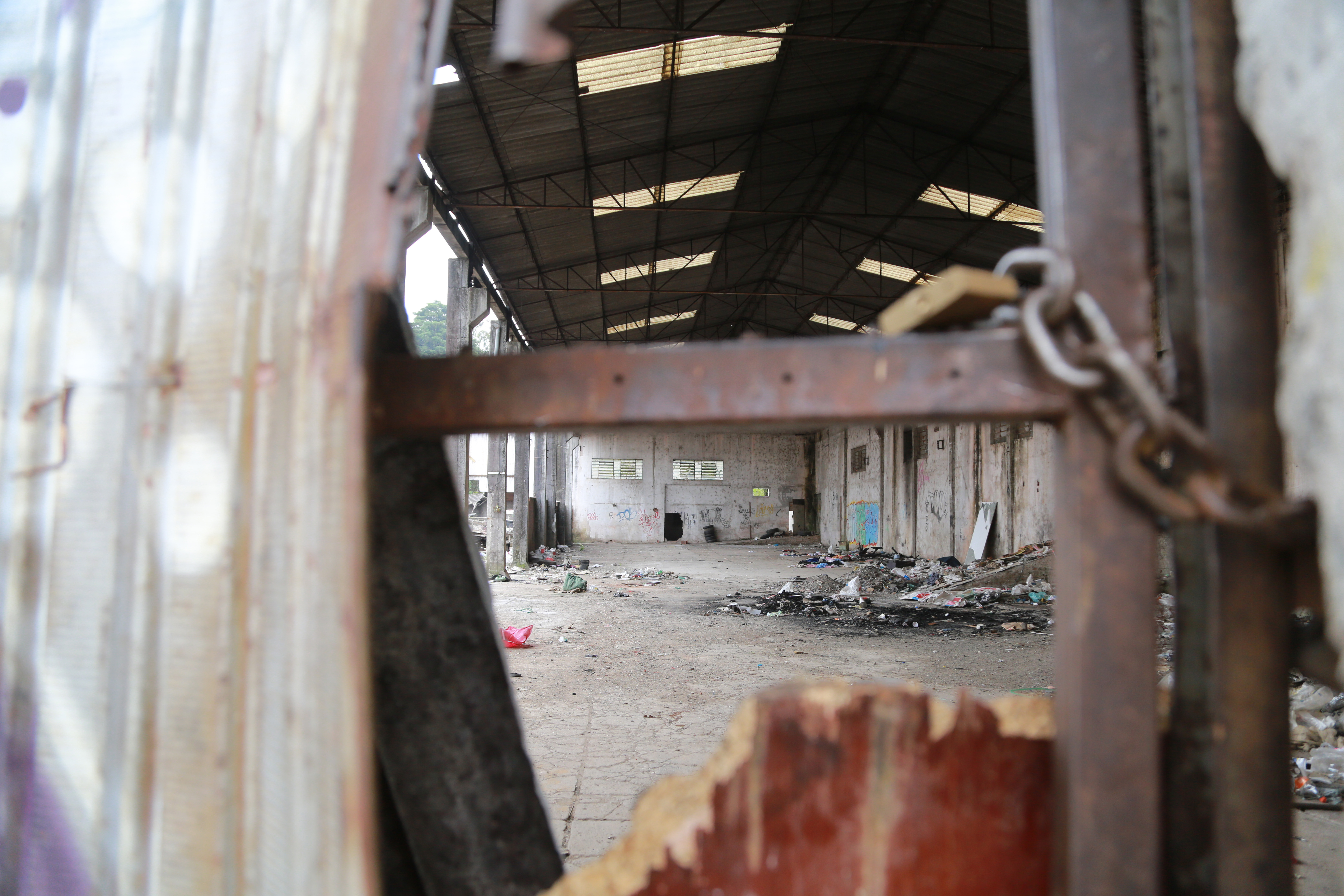  | Felipe Rosa/Tribuna do Paraná