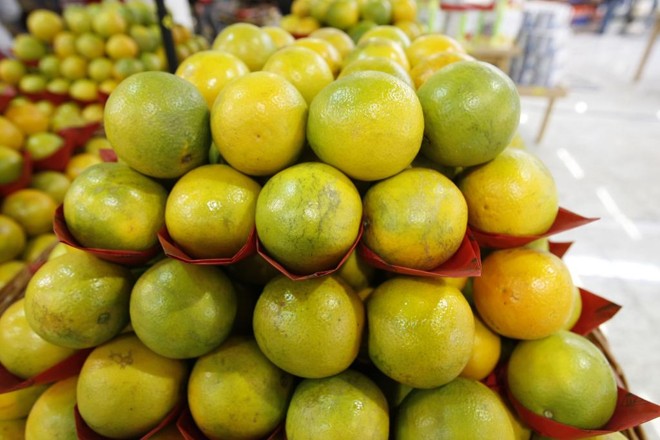 Laranjas dos EUA estão perdendo espaço por causa da guerra comercial entre os norte-americanos e a China. | Valterci Santos/Arquivo Gazeta do Povo