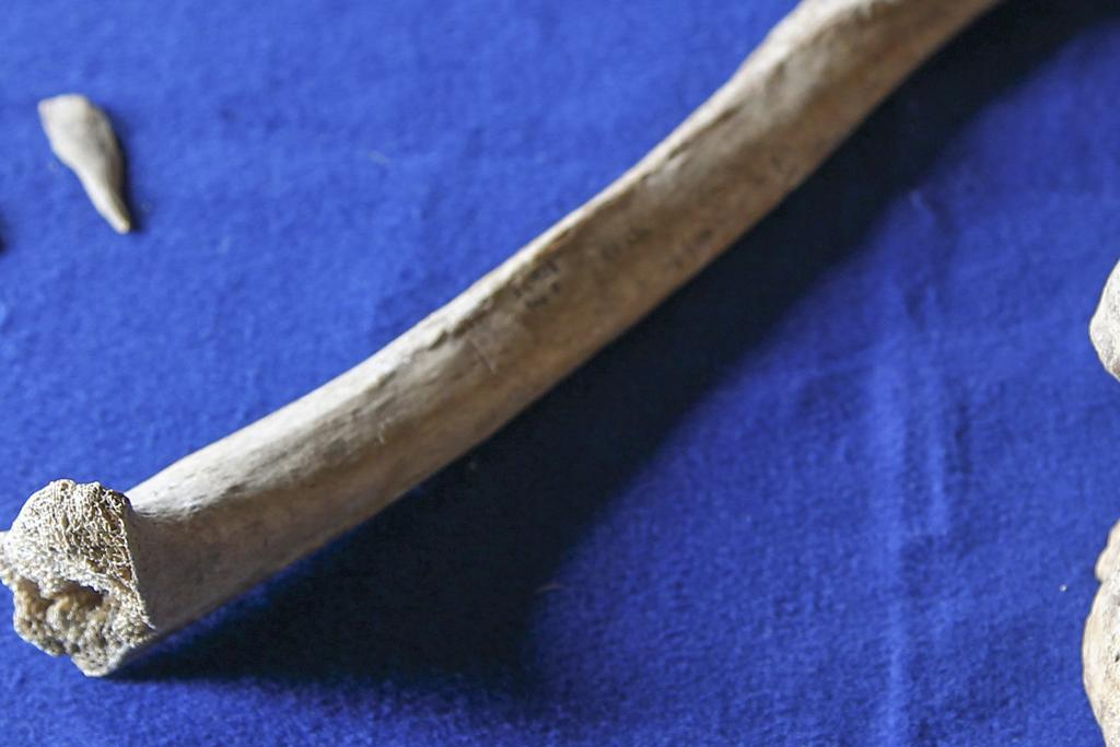 Situação aconteceu próximo à divisa entre Curitiba e Colombo | Daniel Castellano/Arquivo/Gazeta do Povo