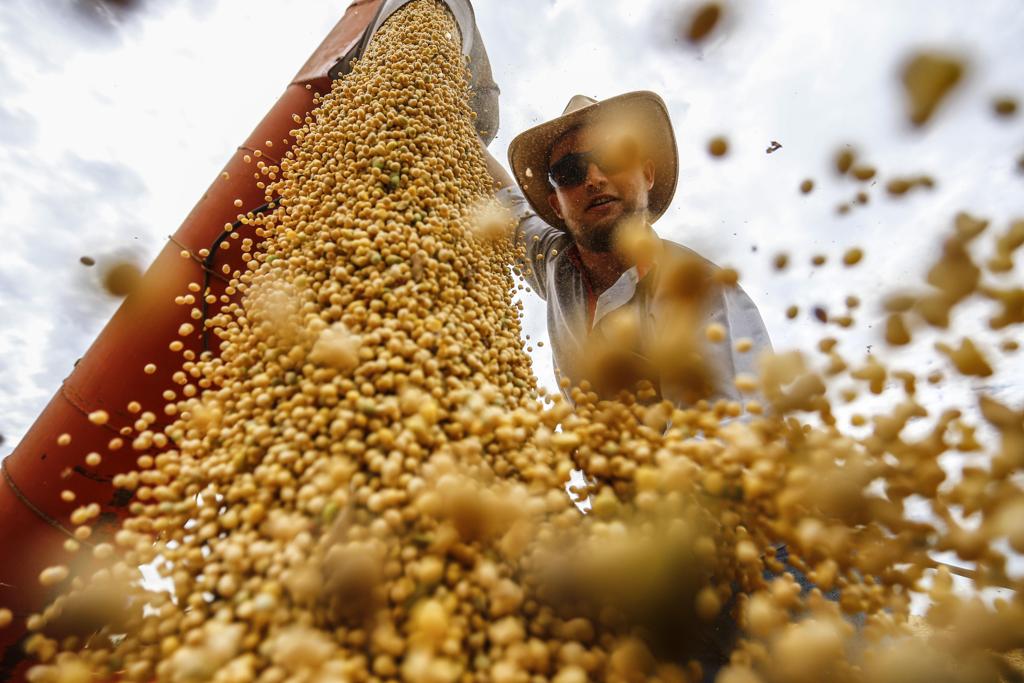  | Jonathan Campos/Gazeta do Povo