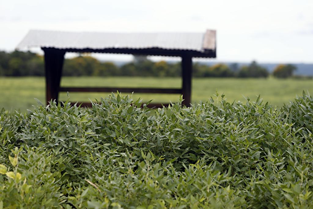 O cálculo interno é mais um capítulo do vai e vem que envolve a proposta. | Albari Rosa/Gazeta do Povo