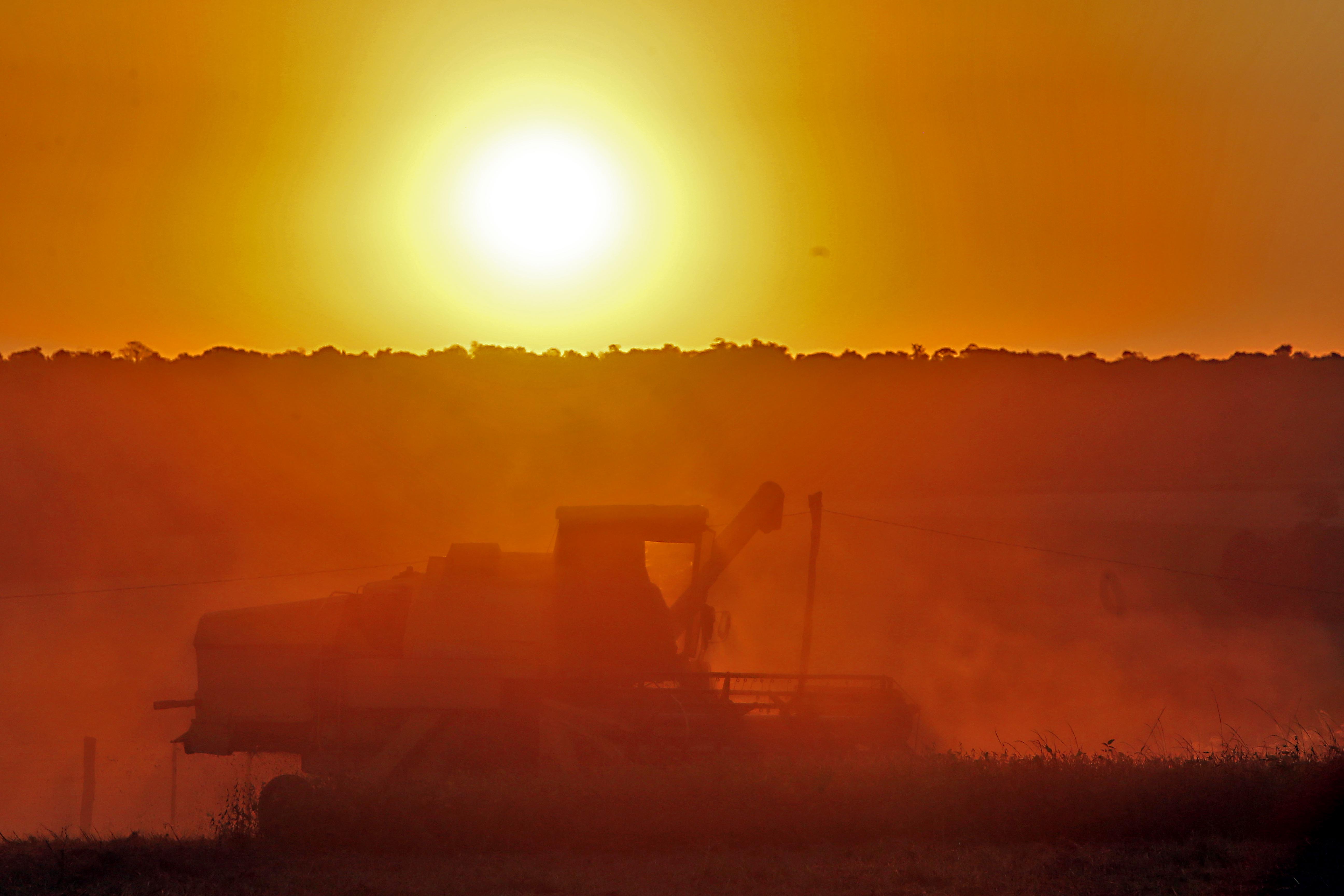 A medida não agradou os produtores argentinos, principalmente porque Mauricio Macri foi eleito com a promessa de acabar com os impostos sobre exportação. | Albari Rosa/Gazeta do Povo