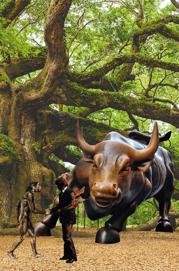 | Robson Vilalba/Thapcom