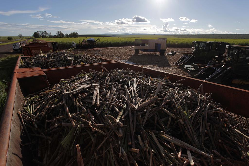 O movimento do Brasil, maior exportador global de açúcar, também buscará questionar o Sistema de Licenciamento Automático de Importação praticado pela China para o açúcar. | JONATHAN CAMPOS/GAZETA DO POVO