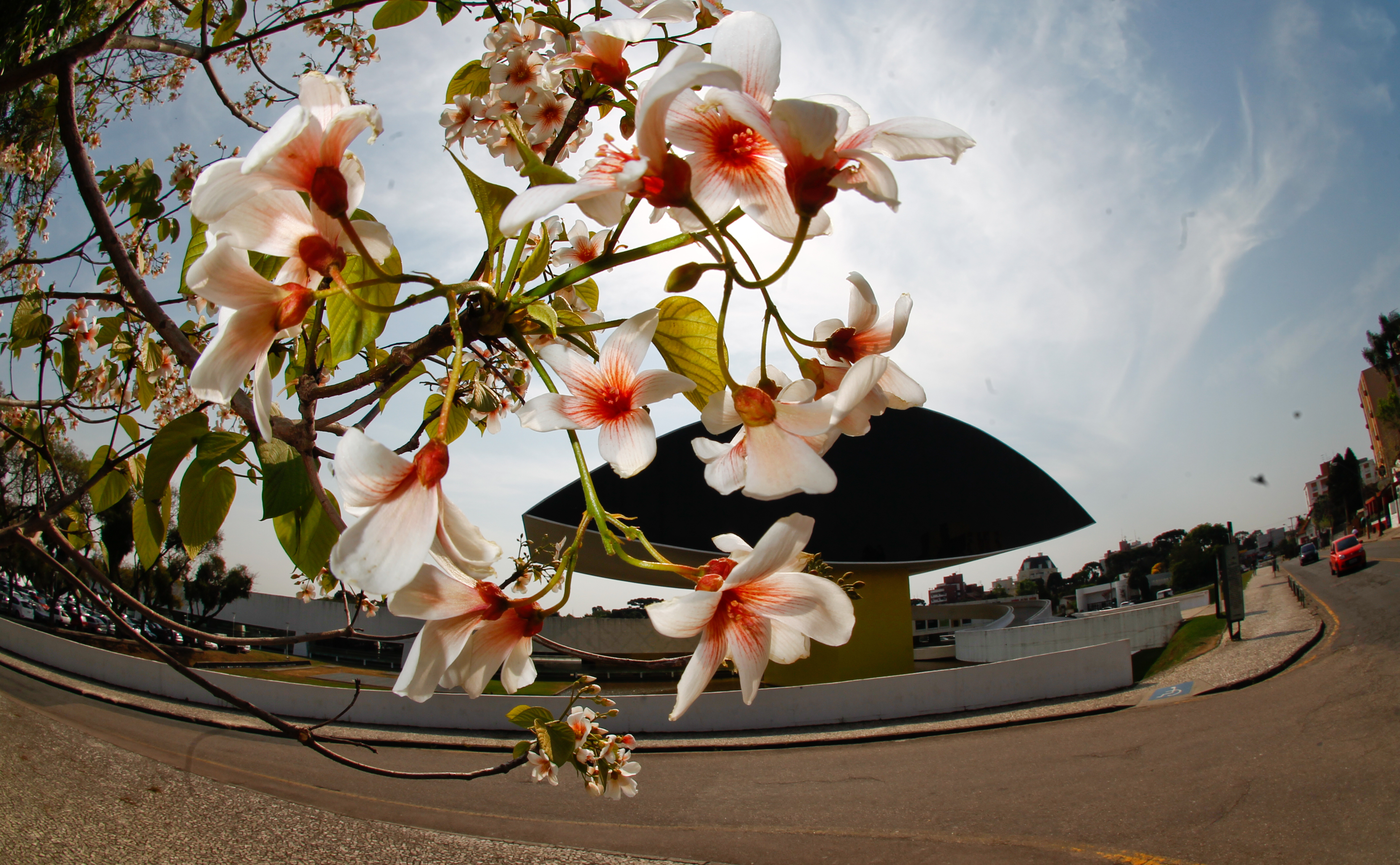 Museu Oscar Niemeyer em dia de sol entre nuvens, tempo previsto para esta terça-feira (18). | Daniel Castellano/Gazeta do Povo