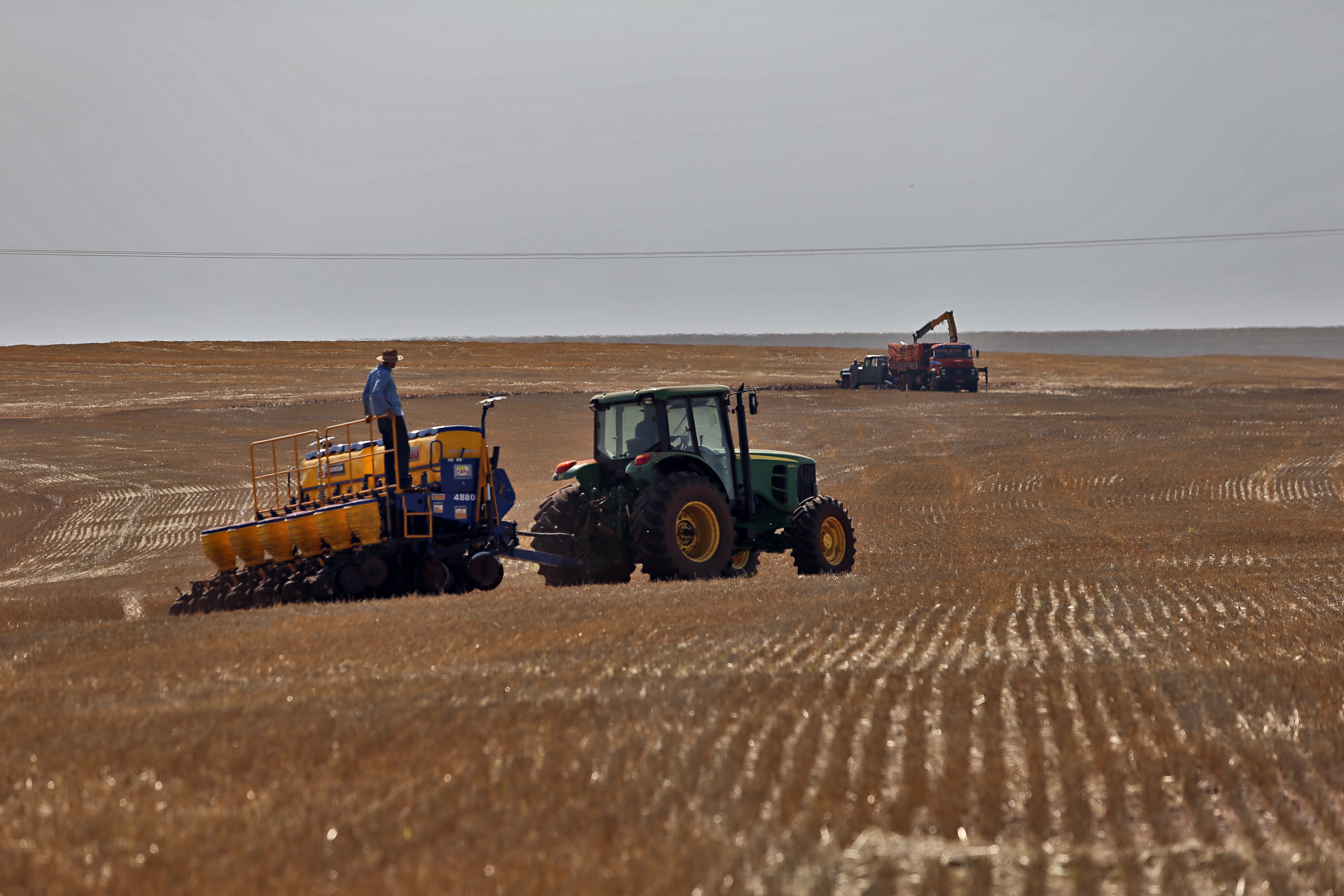Plantio de soja no Oeste do Paraná, região que mais produz. | Albari Rosa/Gazeta do Povo