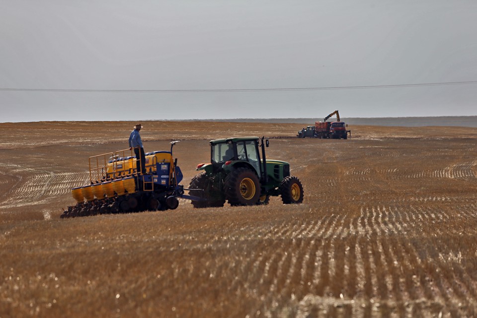 Plantio de soja no Oeste do Paraná, região que mais produz. | Albari Rosa/Gazeta do Povo