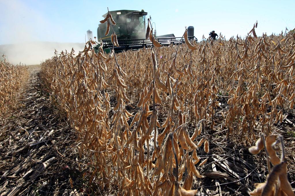 Colheita da soja começou neste mês, nos Estados Unidos | Arquivo/Gazeta do Povo