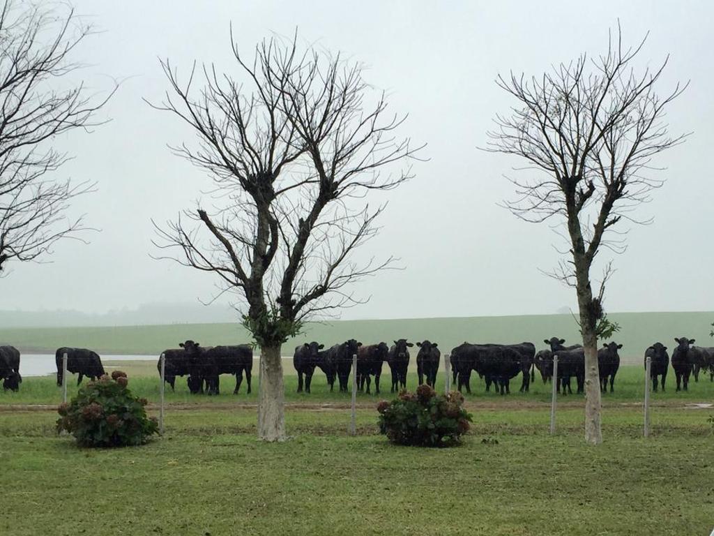 | Divulgação/AgroUrbano
