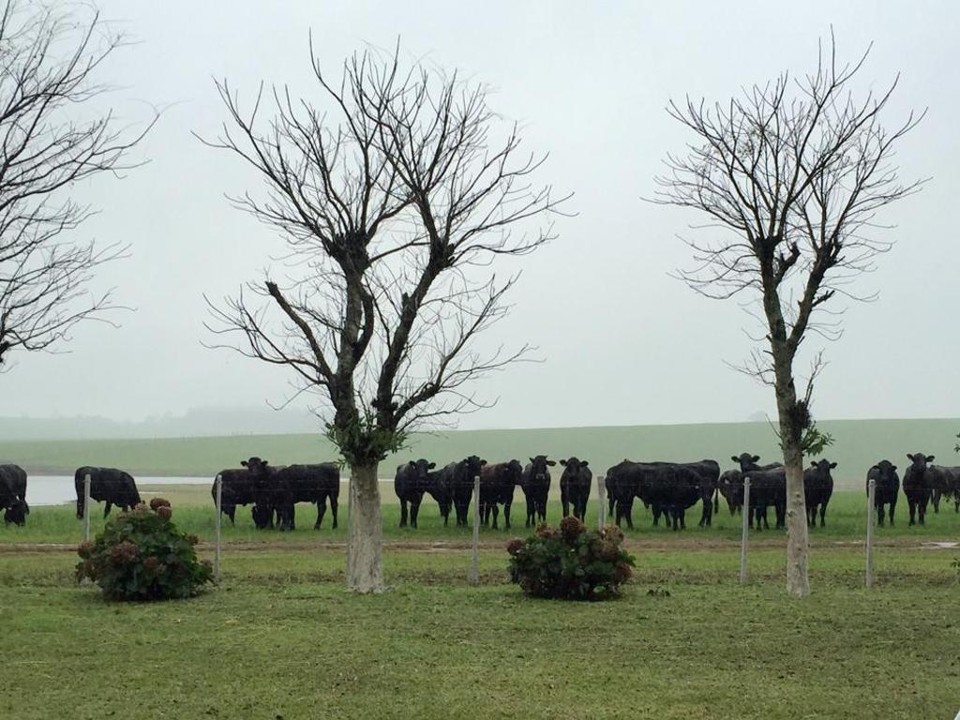 | Divulgação/AgroUrbano