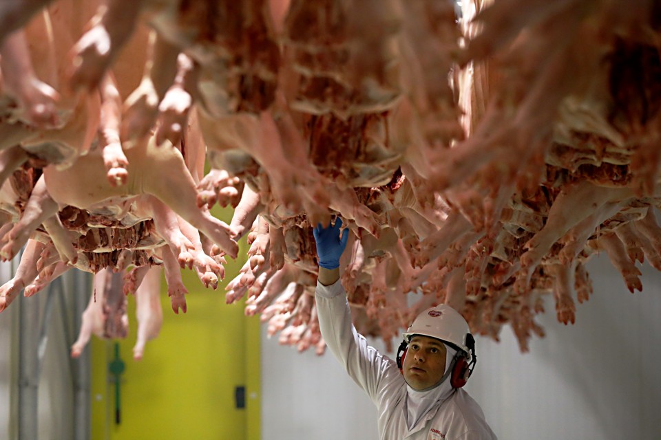 Sem escala para disputar com grandes indústrias, marca das cooperativas  busca produzir  produtos premium. | Albari Rosa/Gazeta do Povo