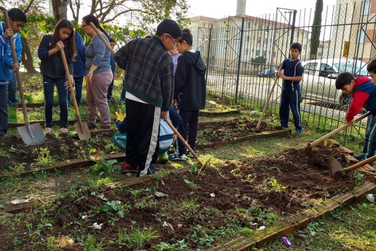 Uma das atividades dos alunos da escola Paulo Freire foi o plantio da horta da unidade |