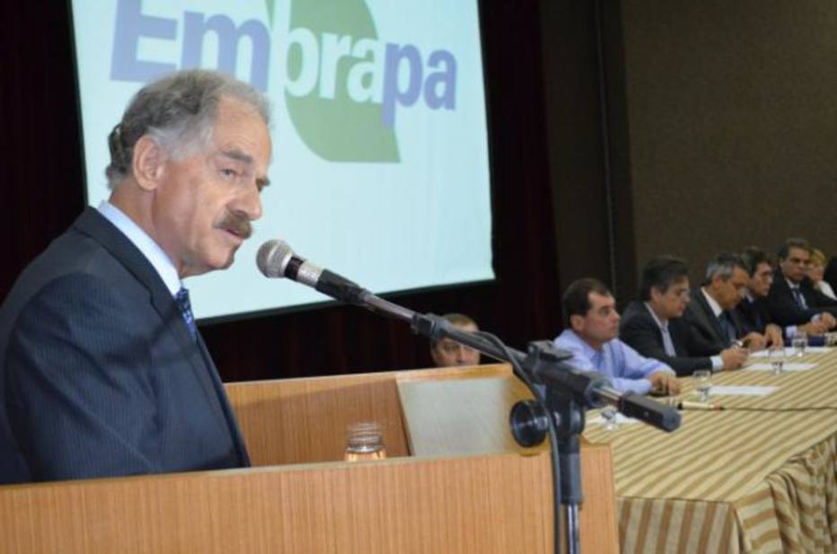 | Divulgação/Embrapa