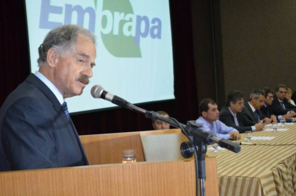 | Divulgação/Embrapa