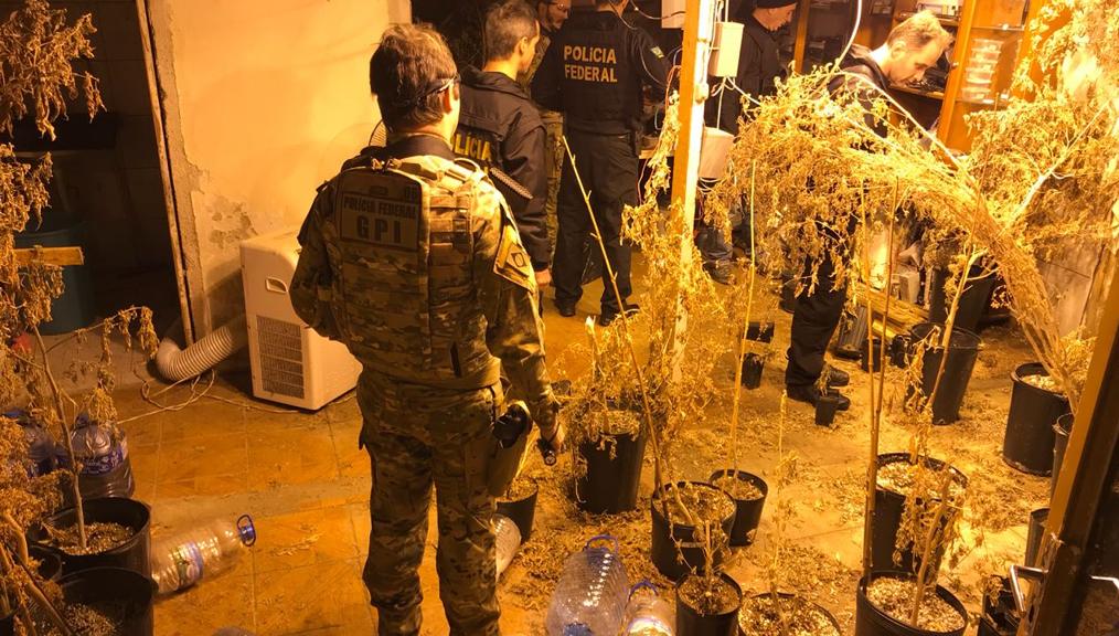 Além das imagens, polícia encontrou uma estufa com drogas | Polícia Federal/Divulgação