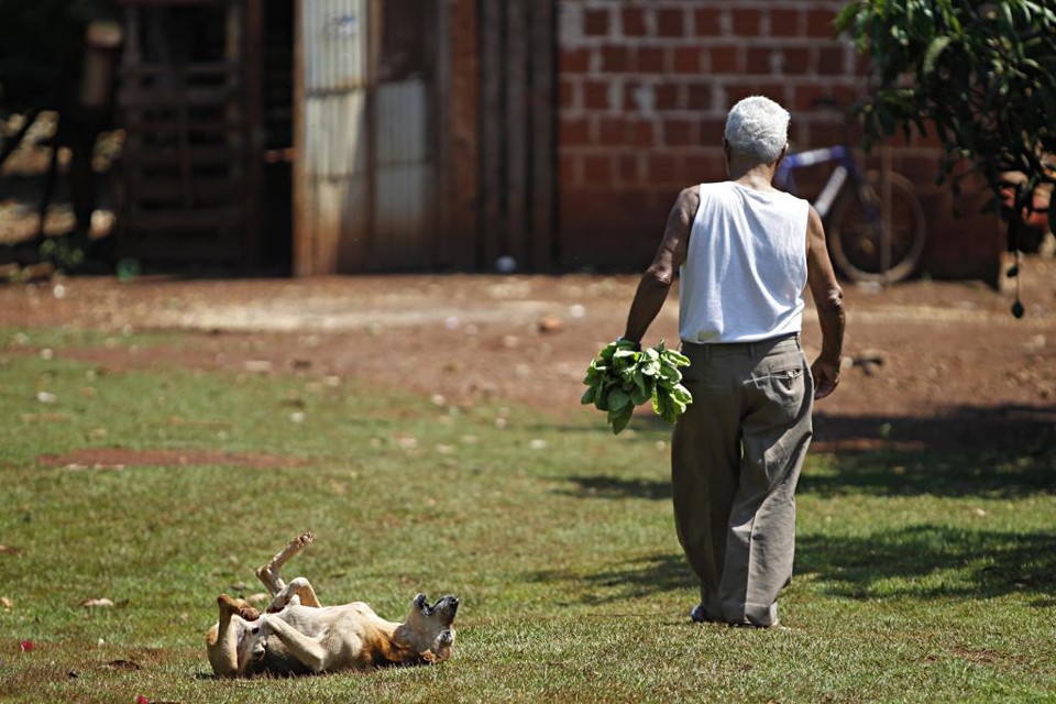 Agricultura quilombola de SP vira patrimônio imaterial do Brasil A decisão foi tomada pelo Conselho Consultivo do Patrimônio Cultural em reunião no Rio de Janeiro. | Jonathan Campos/Gazeta do Povo