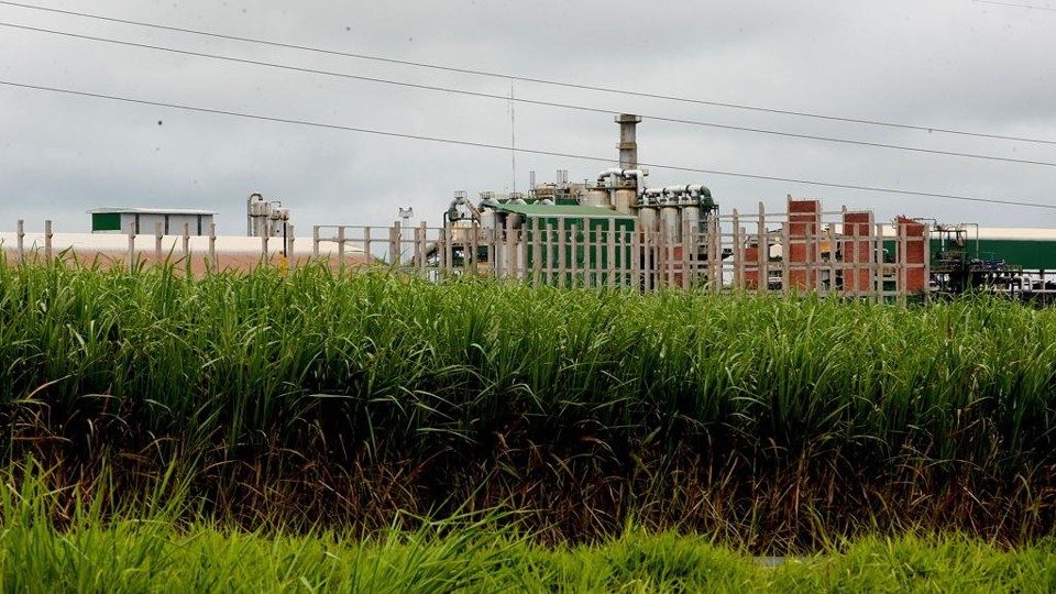 A usina térmica vai gerar eletricidade a partir de dois subprodutos da cana: a torta de filtro, um resíduo proveniente da filtragem do caldo da cana, e a vinhaça, gerada na produção do etanol. | Ivonaldo Alexandre/Arquivo  Gazeta do Povo