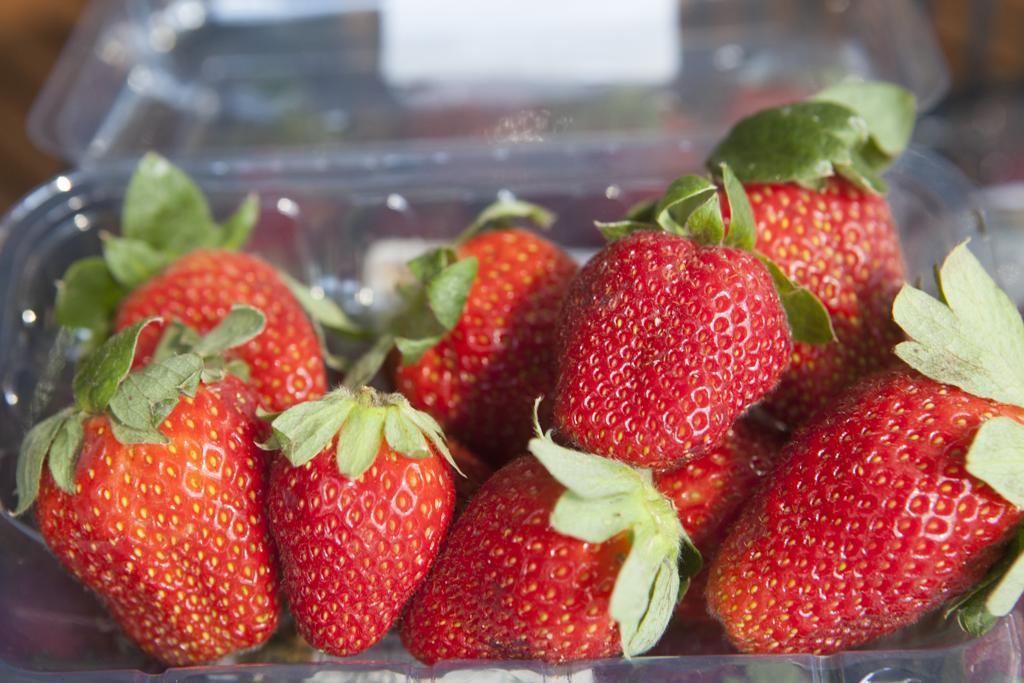 | Daniel Caron/Gazeta do Povo