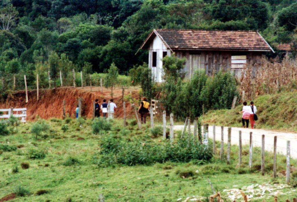 | Henry Milleo/Arquivo Gazeta do Povo