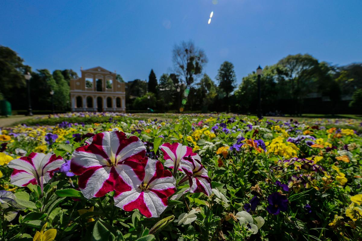 | Jonathan Campos/
Gazeta do Povo