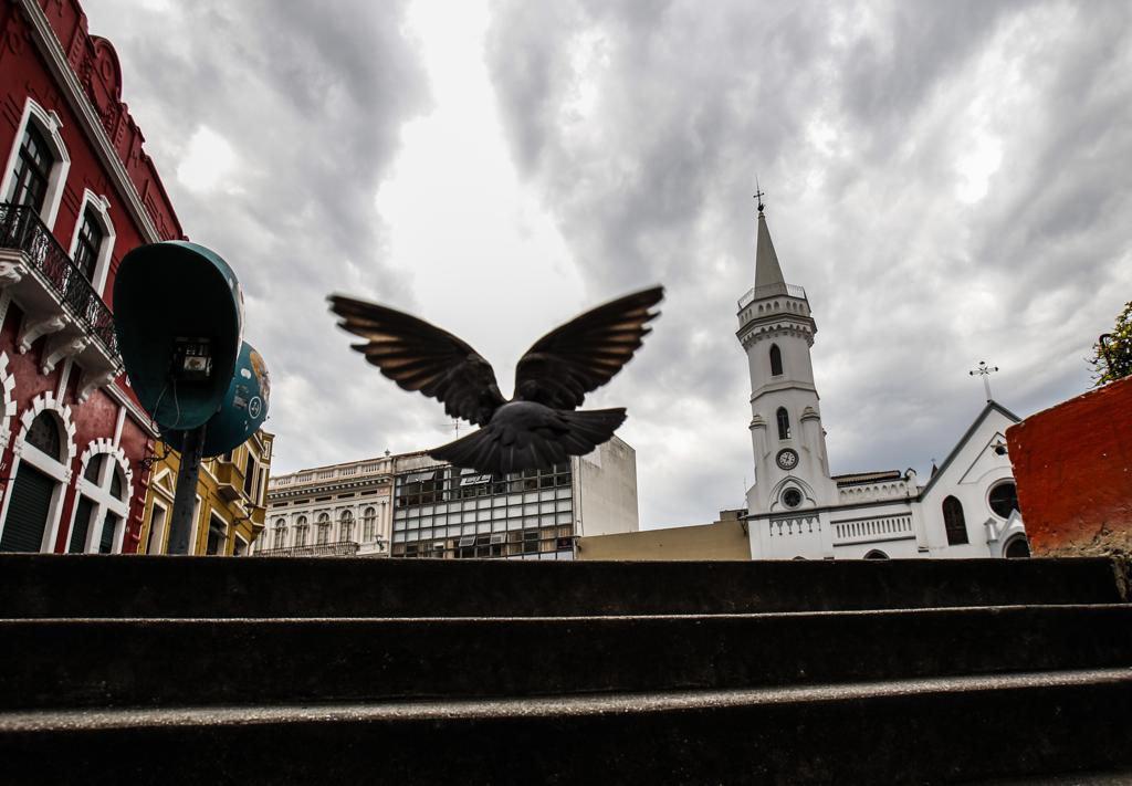 | Daniel Castellano/Gazeta do Povo