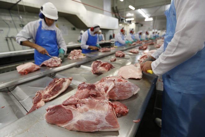diversificação e ampliação da linha de produção é uma das apostas da cooperativa Sananduva para ampliar mercado | Jonathan Campos/Gazeta do Povo