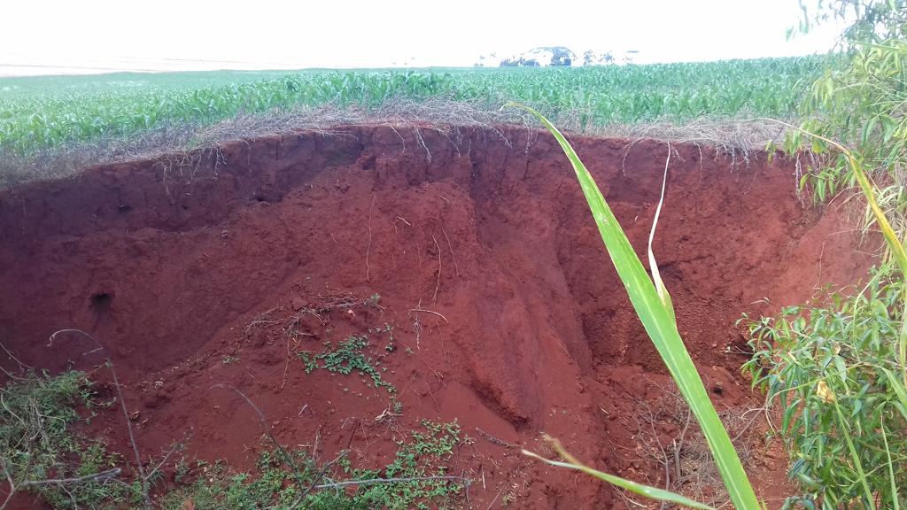 | Graziela Barbosa
/
/