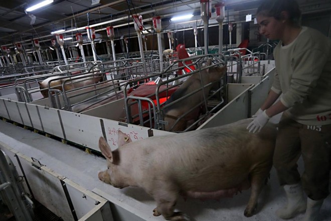 | Albari Rosa/Gazeta do Povo