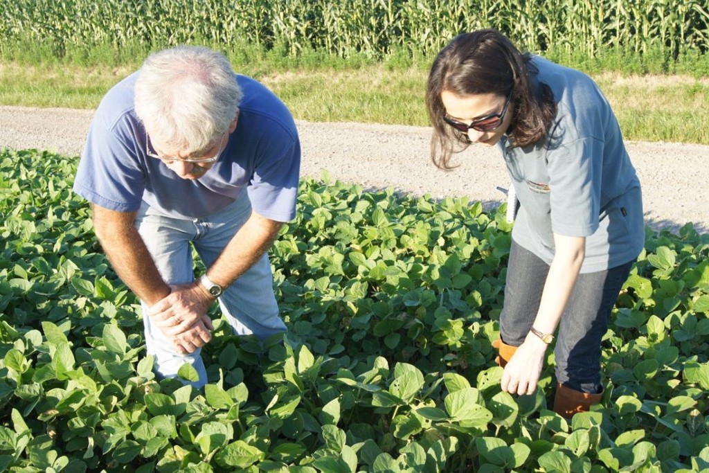 Daniela Siqueira conheceu na prática o vocabulário em inglês no segmento do agronegócio