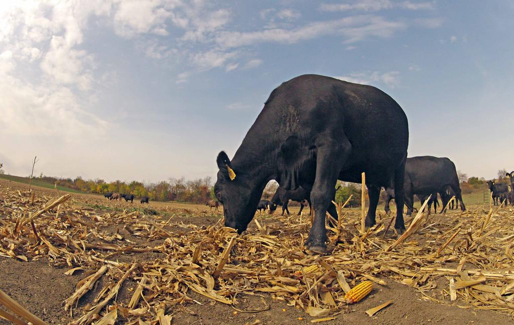 | CHRISTIAN RIZZI/CHRISTIAN RIZZI