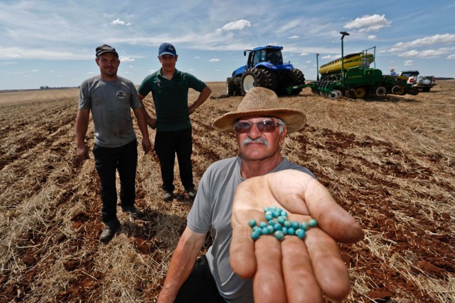 Em Santa Bárbara do Sul (RS), o produtor Dari Augusto Baiotto, com os filhos Fabiano e Adriano, correm para terminar de plantar 470 hectares de soja. | Jonathan Campos/Gazeta do Povo