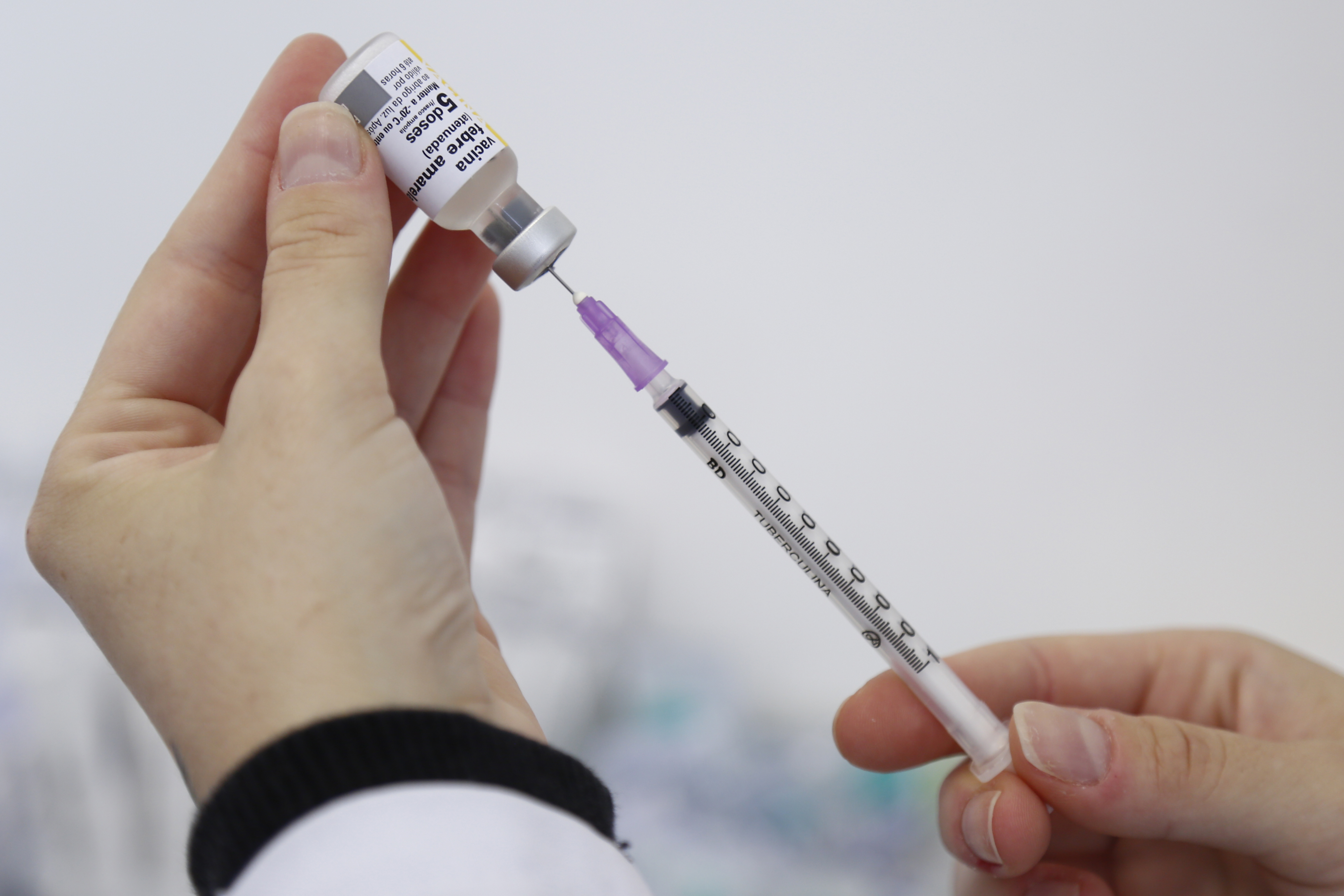 Vacina é indicada para pessoas que tenham entre nove anos e 59 anos de idade que nunca receberam a imunização. | Aniele Nascimento/Gazeta do Povo