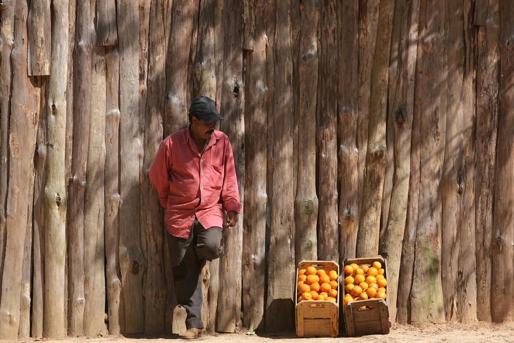  | Jonathan Campos/Gazeta do Povo