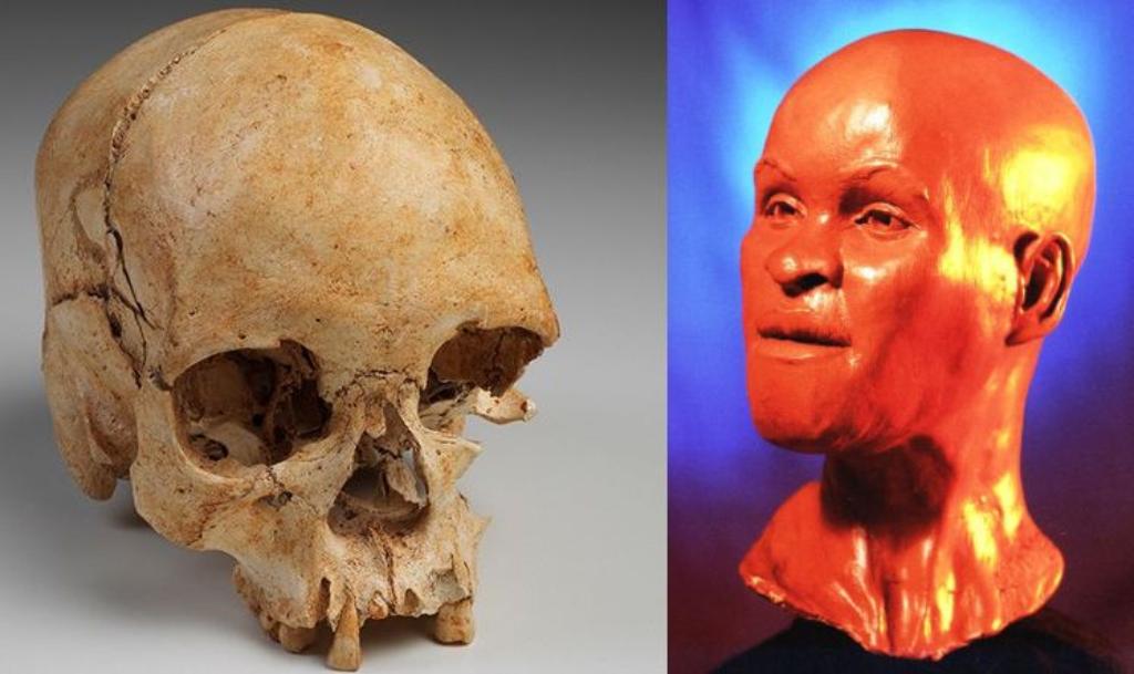 Os fósseis foram achados há alguns dias junto aos escombros do edifício, parcialmente destruído por um incêndio no dia 2 de setembro | Museu Nacional/Acervo