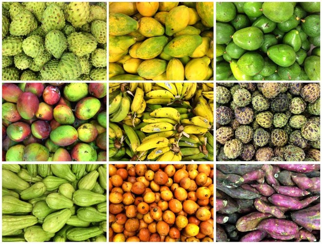 Nos últimos anos, o Brasil se transformou no 3.º maior produtor de frutas do mundo, superado apenas por China e Índia. | Arquivo/Gazeta do Povo