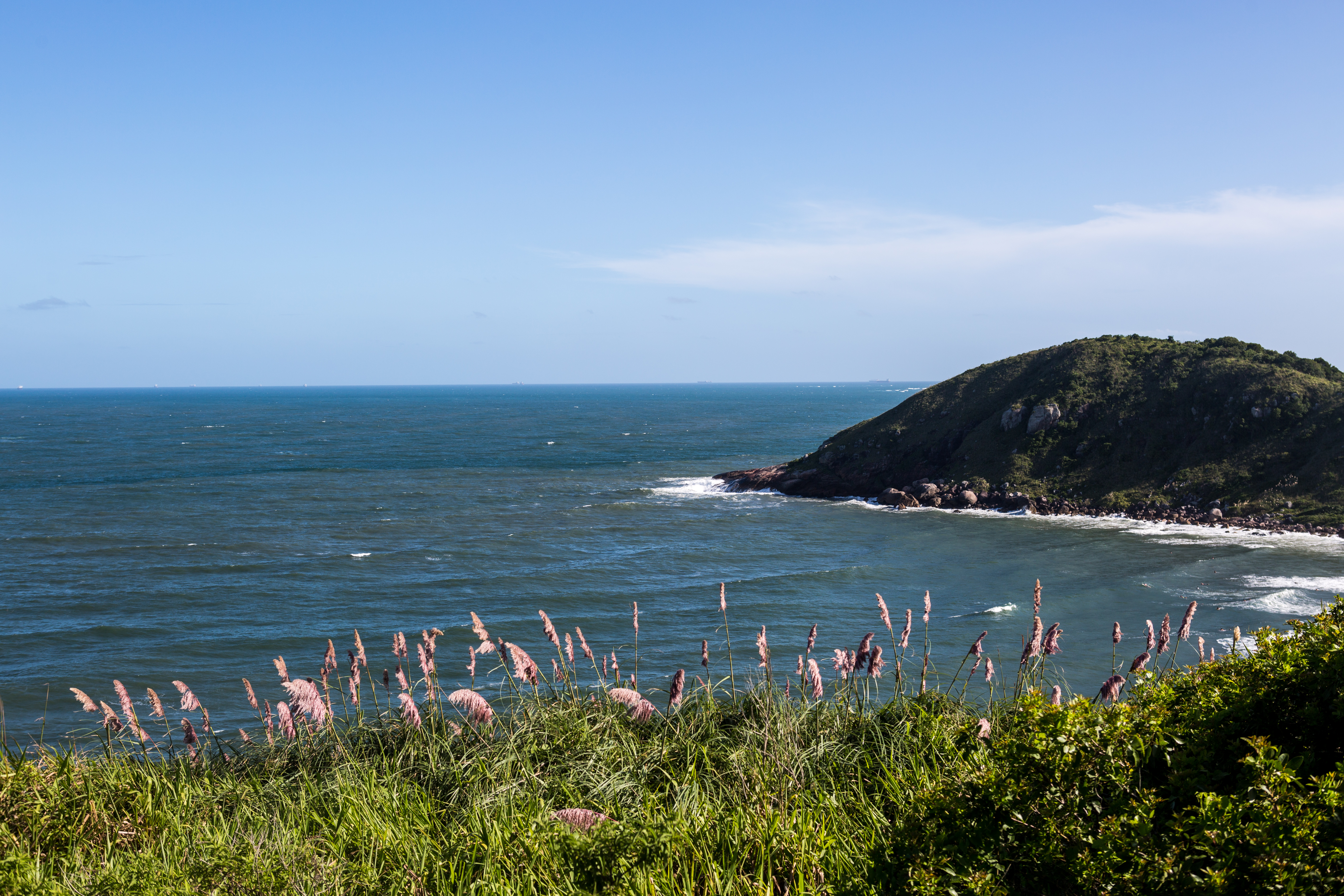| Brunno Covello/Gazeta do Povo