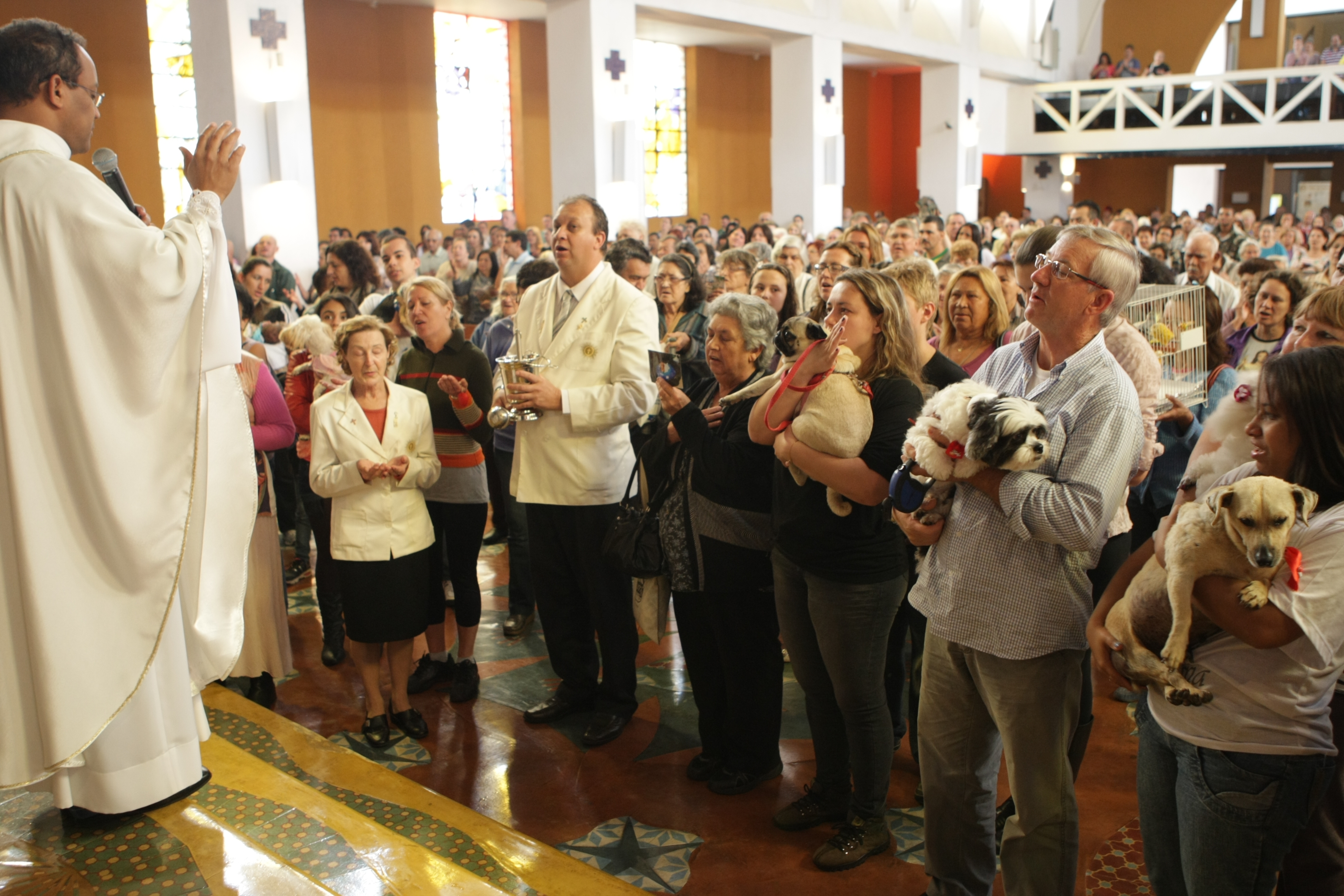 | Aniele Nascimento/Aniele Nascimento