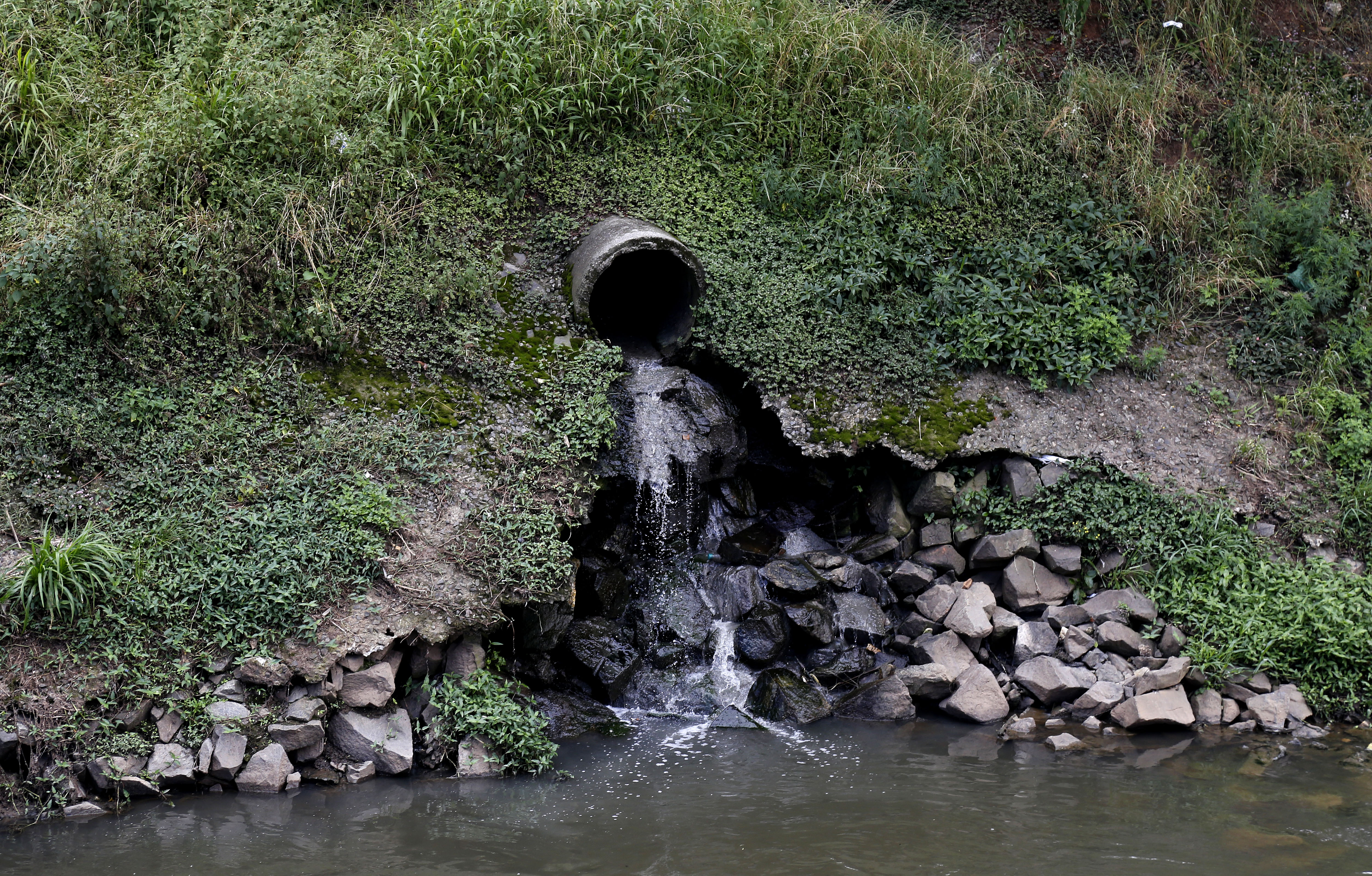  | Pedro Serapio/Gazeta do Povo