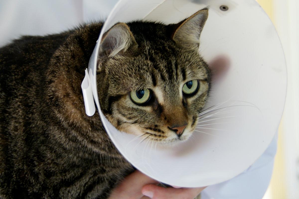 Imagem ilustrativa. | Marco André Lima/Gazeta do Povo/Arquivo